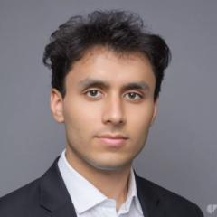 ARBAZ WIKIP DIA visual data 5