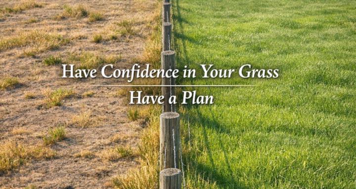 BITE: Grazing Solutions