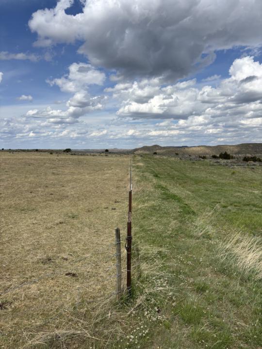First Upper Country Graze of 2026
