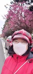 玉雙 劉
