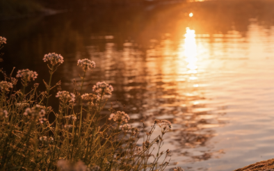 The Unexpected Path to Healing and Growth
