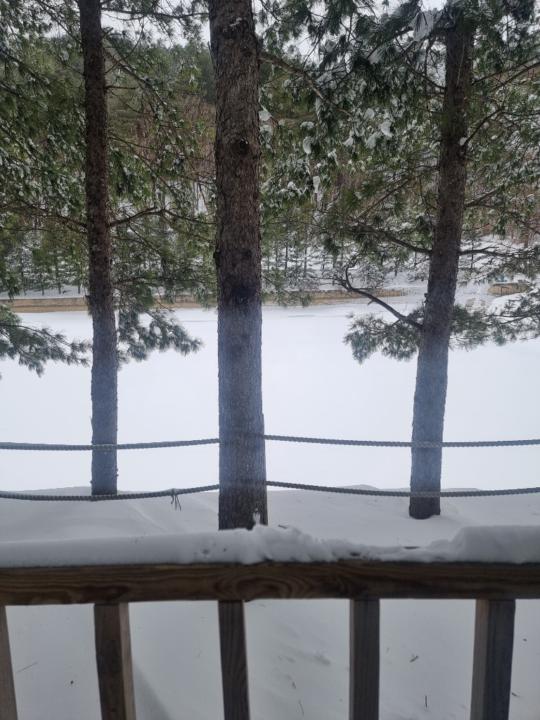 Erdenetsetseg Oyunmunkh