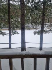 Erdenetsetseg Oyunmunkh