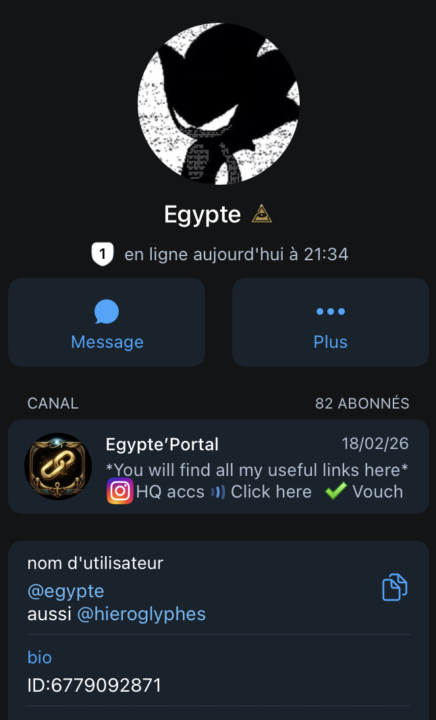 Fournisseur de compte INSTAGRAM âgée - US / FR  🇺🇸🇫🇷