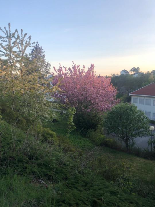 Oda Aarak sporstol