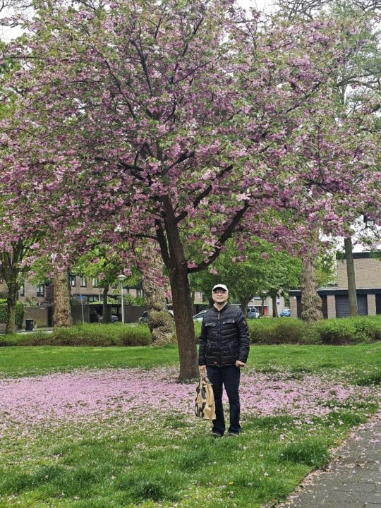 Mohammad Eghtedardoust
