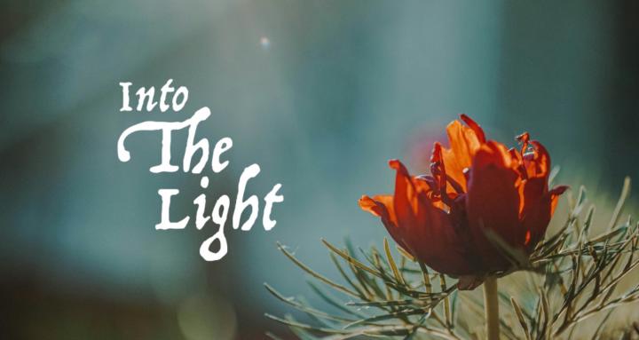 Into The Light