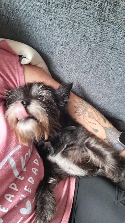 My girl Angel who has saved my life so many times .