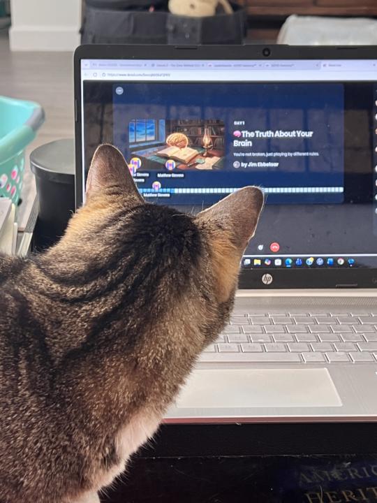 My cat Jackson is enjoying the Challenge!