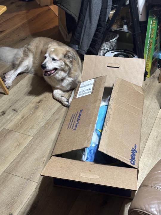 He’s gone ***warning before open***