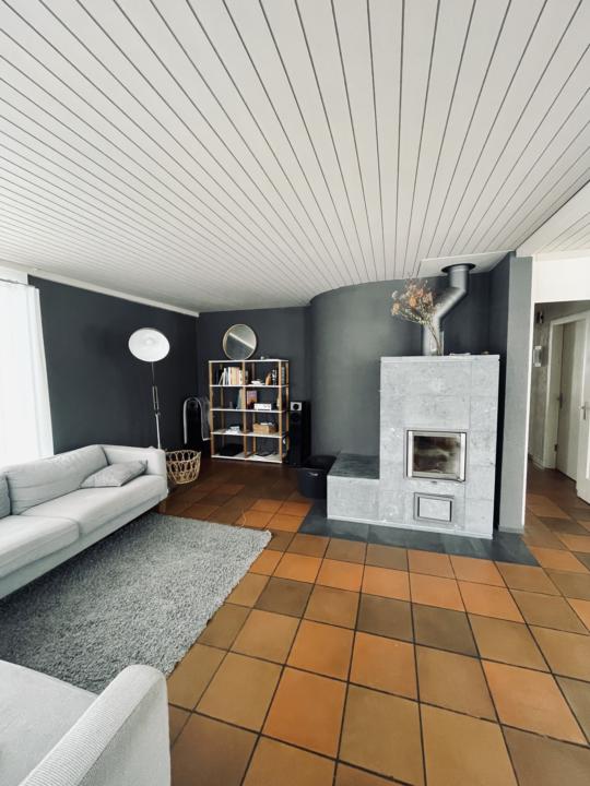 Hi, I'm Kev! I'm from Switzerland and I... oh look, a cool color palette! 🎨