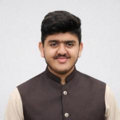 Hasnain Shakeel