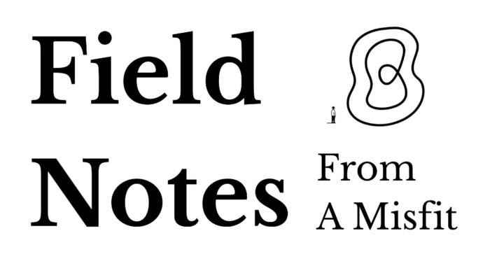 Field Notes From A Misfit