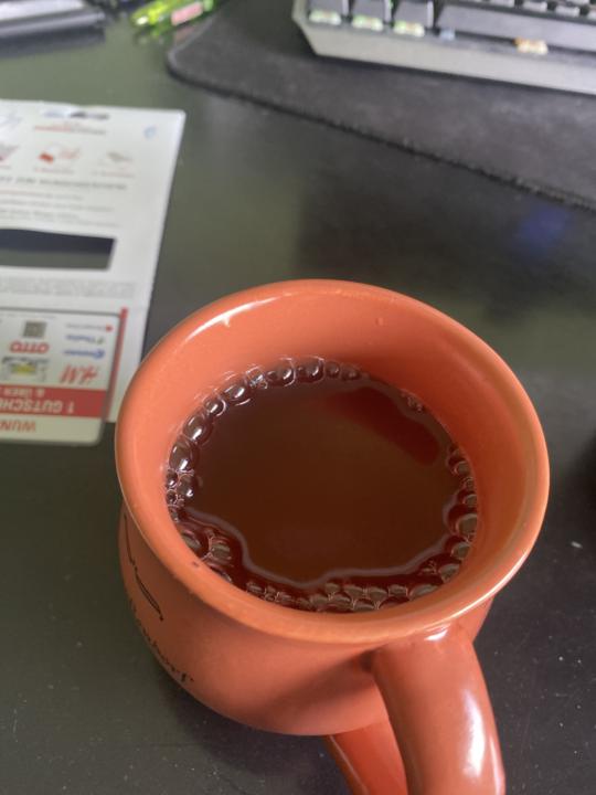 This morning 