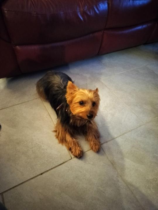 Bridget VanHolland-Williams