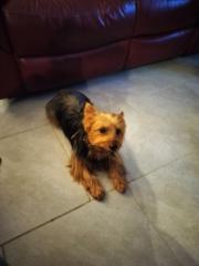 Bridget VanHolland-Williams