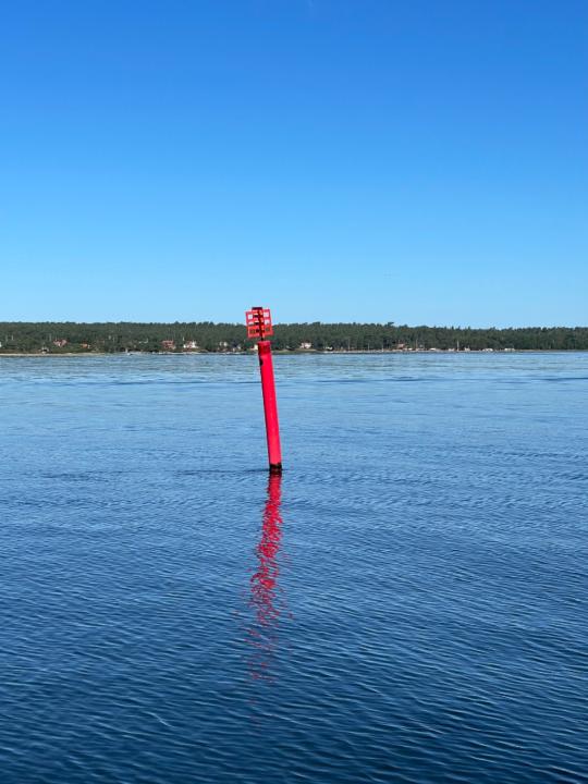 Linnéa Tångne