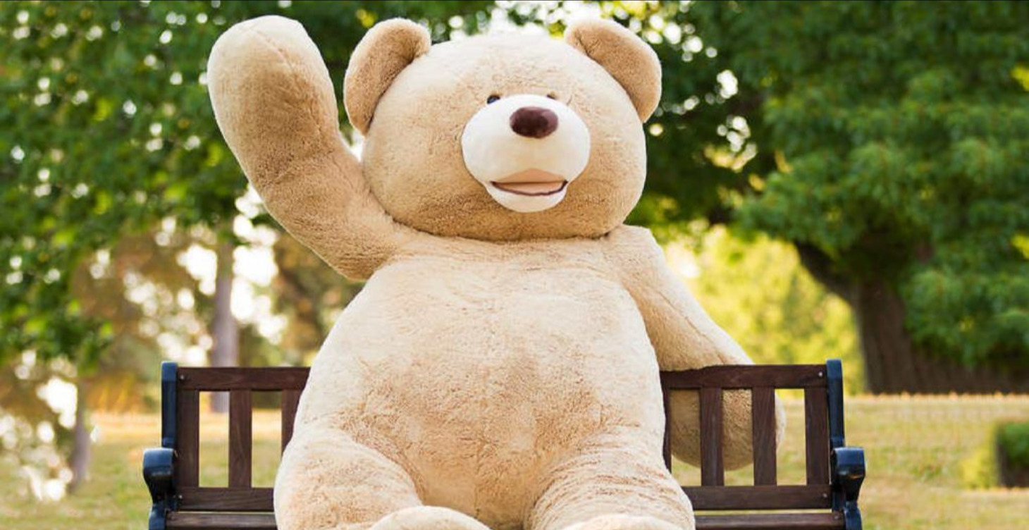 Teddy Bears and the Future