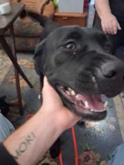 Laurie Wright Wright