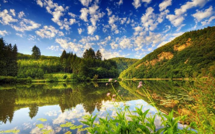 Koutang Simplice