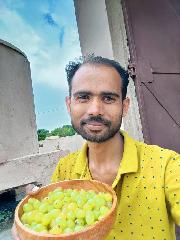 Maila Subbarao