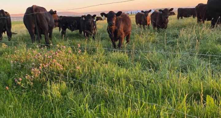 Ag Ed 101-Agriculture for all