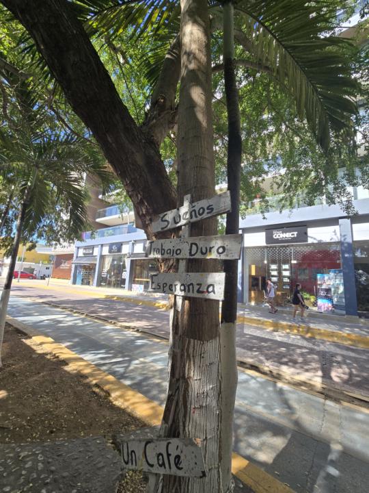 Un árbol me mostró los ingredientes del éxito ✨️