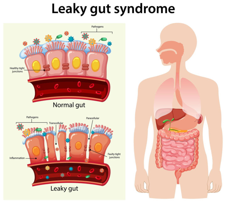 🔋 Why Your Body Feels Like It’s Running on Low Battery Mode (And It’s Not Your Age)