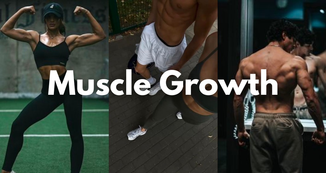 Muscle Growth