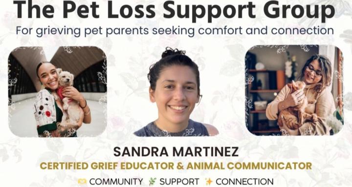 Pet Loss Support Group