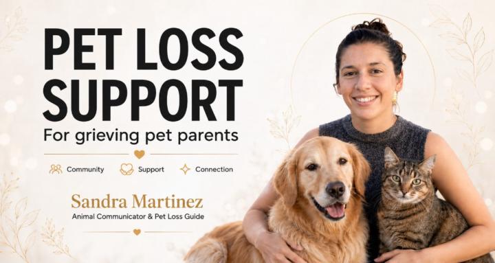 Pet Loss Support Group