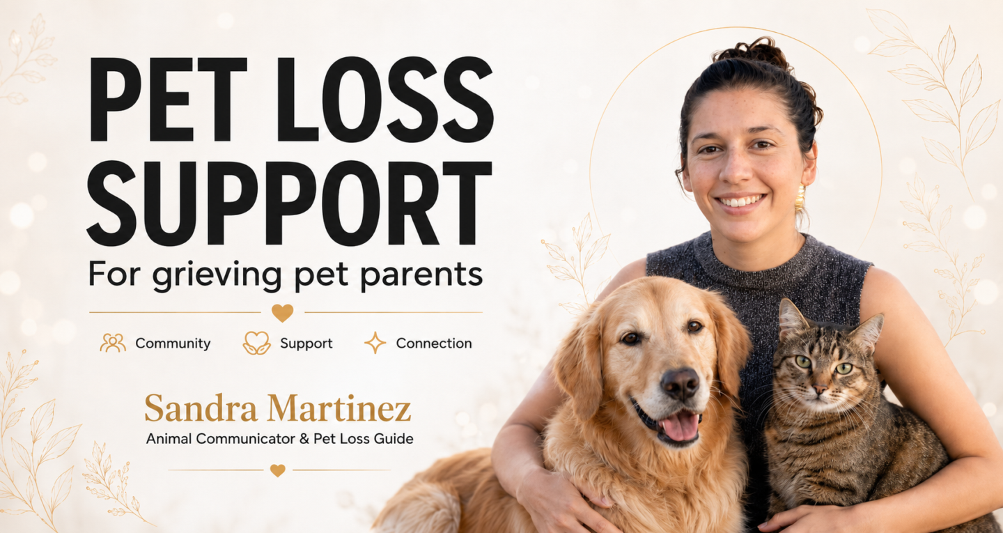 Pet Loss Support Group