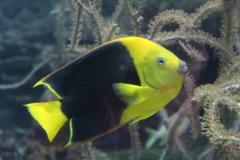 Miguel Angel Gonzalez Fajardo