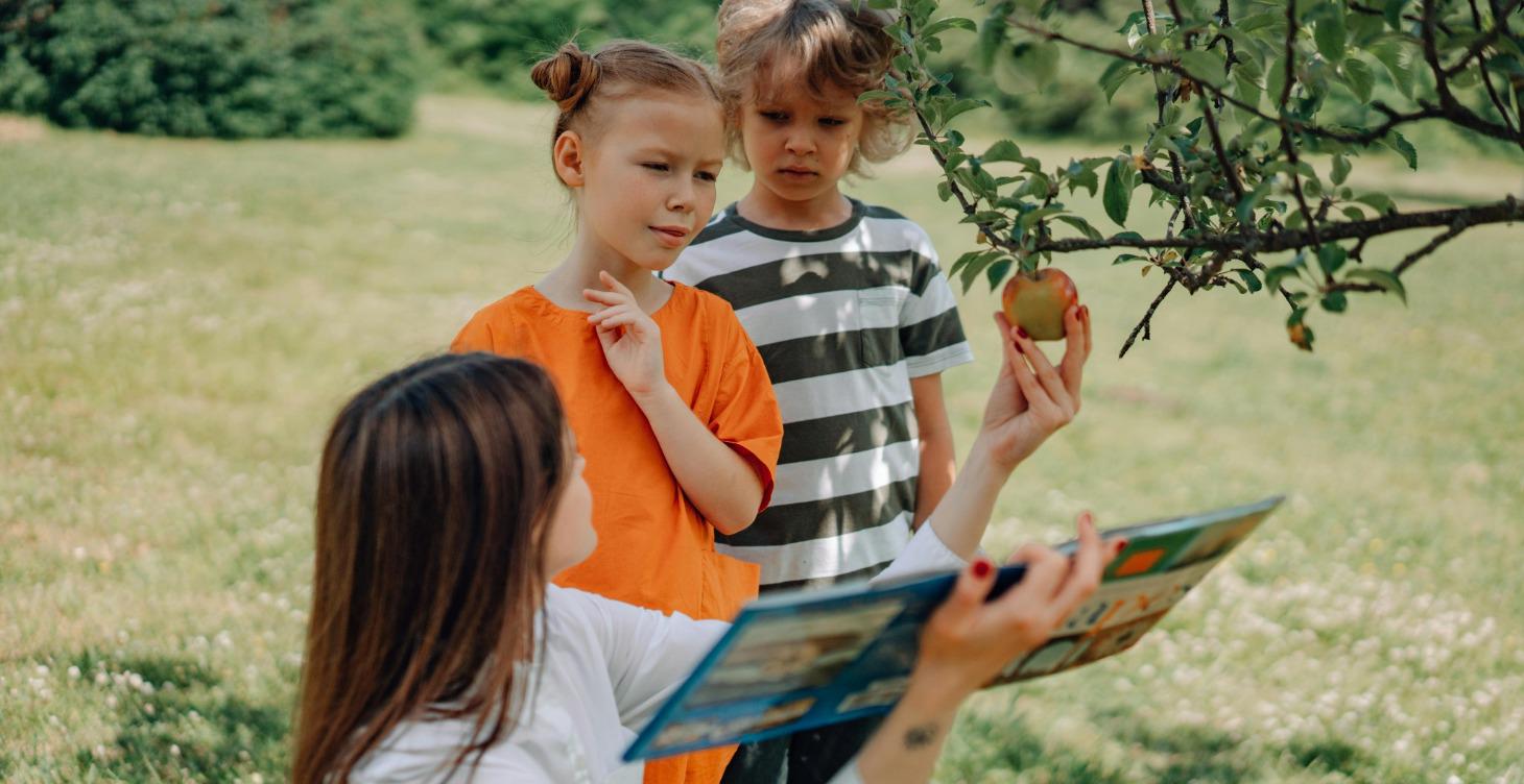 ¿Cómo convertirte en una teacher alternativa?