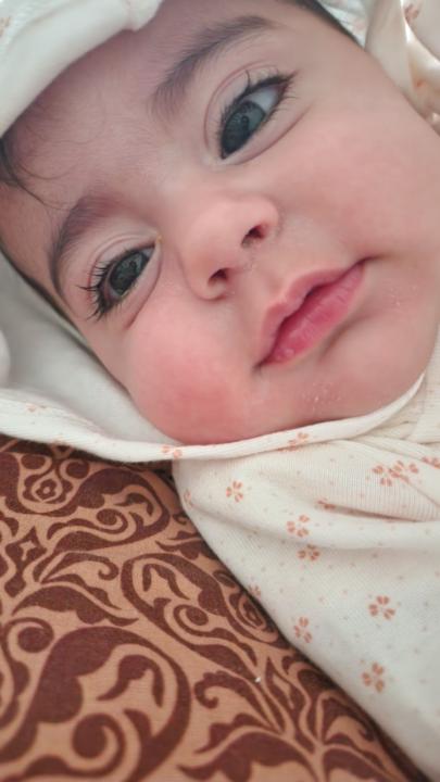 Shayan Johar