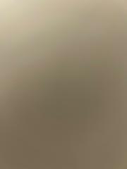 מירב בן נעים