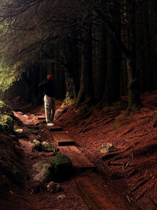 Talita Alves Azevedo Soares