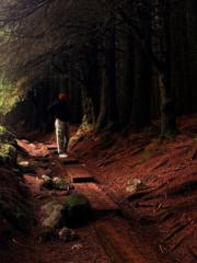 Talita Alves Azevedo Soares