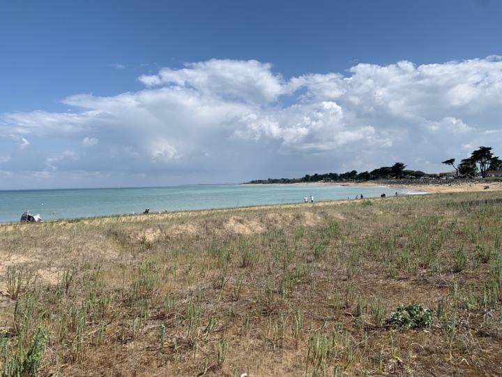 Mon lagon oleronnais 🤩