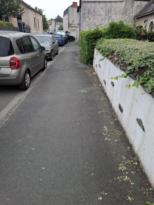 Marche entre 2 interventions ( je suis auxiliaire de vie). 2×10 minutes tout les jours et le soir sur mon tapis de marche de temps en temps en regardant une série Netflix 