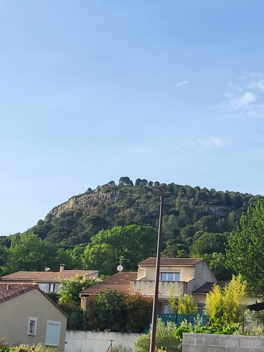 Marche active 