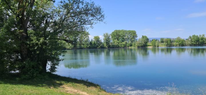 Promenade digestive 