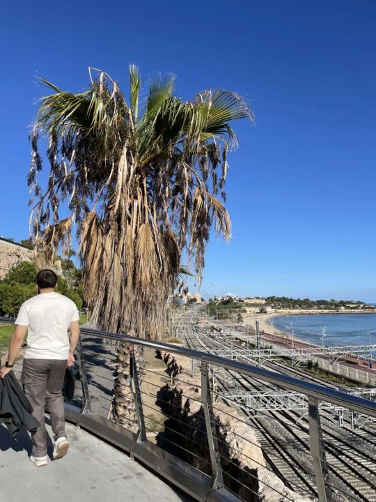 Redouane El yaakoubi