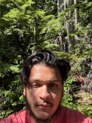 Ali Zaidi