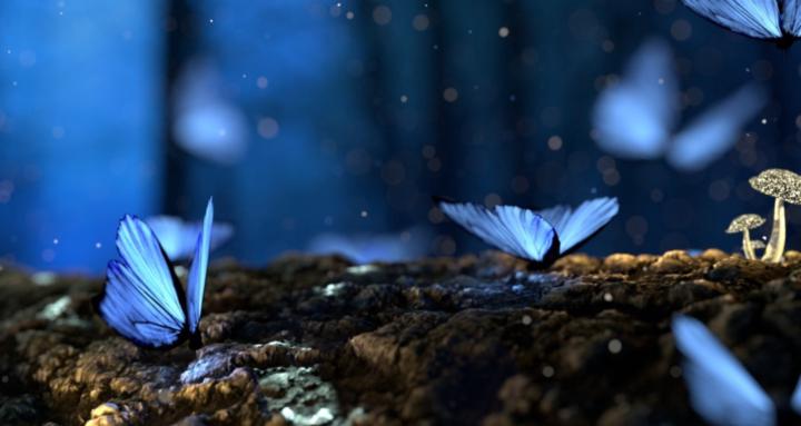 Stop the Mind Chatter