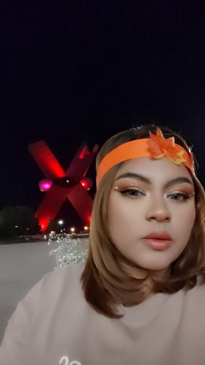 Sandra rocío Denis Chavez