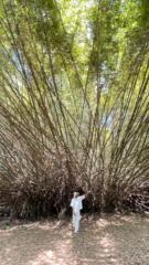 Marc Sanders Compere