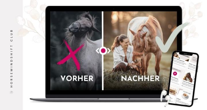 HorseMindShift CLUB 🐴 