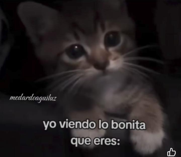 Angel Sepulveda