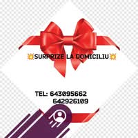 Crina Marinela Vintan